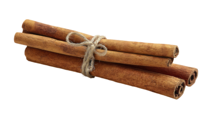A bundle of dried cinnamon sticks tied with twine
