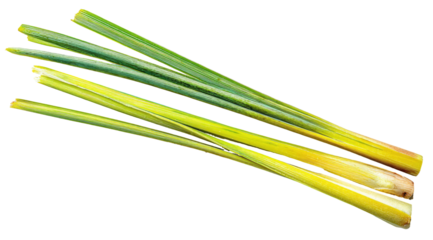 Fresh stalks of aromatic green and yellow grass