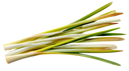 Fresh bunch of green and white stalks with subtle reddish-orange tips