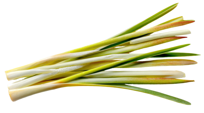Fresh bunch of green and white stalks with subtle reddish-orange tips