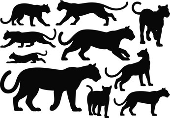 Tiger silhouette illustration set, wild feline poses, walking, crouching, running motion, jungle predator, animal graphic, nature icon, big cat