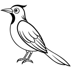 Obraz premium bird on a branch