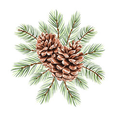 Spruce, pine branch with cones watercolor isolated illustration for christmas or autumn desing. Hand-drawn fir twig with green needles for winter holiday decorate. Sketch of evergreen conifer for card