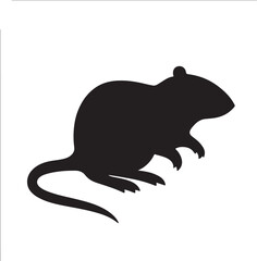 Abstract geometric design with bold colors and typography