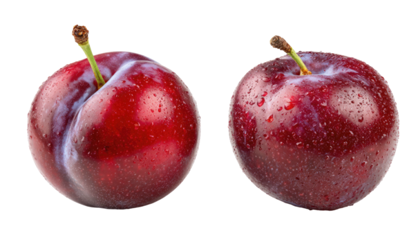 Two ripe, wet plums with stems against a black background