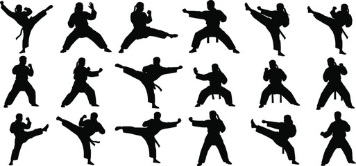 Female karate martial arts high kick silhouette collection, representing women's self-defense, discipline, power, fitness training, and combat sport on white background
