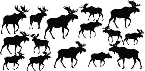 Here is a new, unique set of title and keywords for the image of hot air balloons over mountains, optimized for SEO on Adobe Stock: