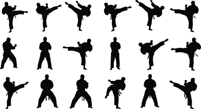 Karate martial arts high kick and fighting stance silhouette collection, representing discipline, self-defense, power, fitness, training, and combat sport on white background