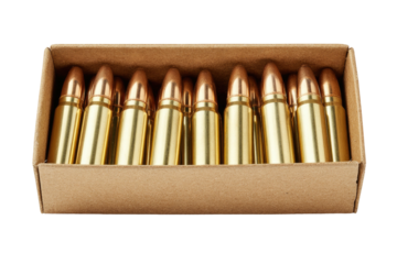Bullets packed tightly in a cardboard box, ready for use