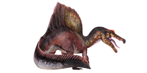 Realistic Spinosaurus dinosaur on white background