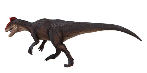 Fototapeta premium Majungasaurus dinosaur with red crests walking.