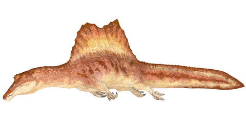 Illustration of a Spinosaurus dinosaur