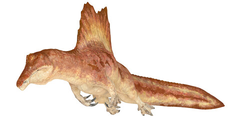 3D rendering of a prehistoric Spinosaurus dinosaur.