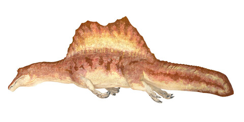 Illustration of a Spinosaurus on a white background.