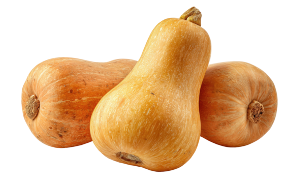 Three butternut squash are arranged closely together