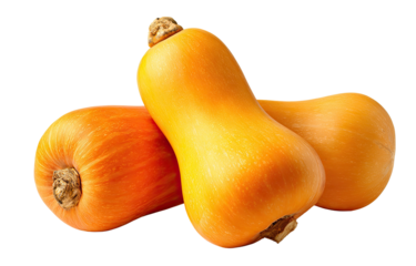 Two elongated, orange gourds with stems on a dark background