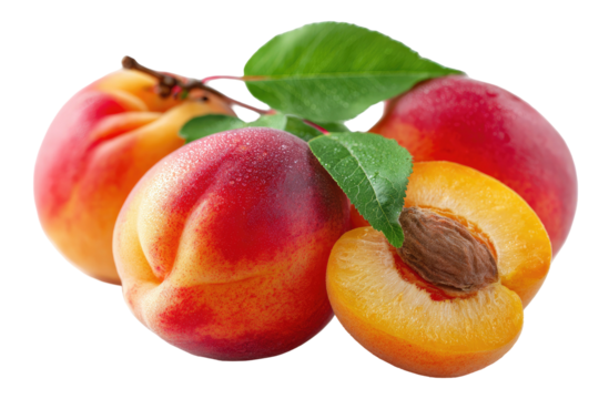 Ripe, juicy stone fruits with vibrant orange and red hues