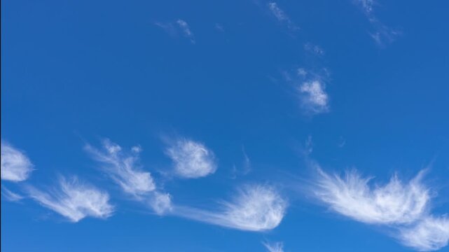 
4K time-lapse photography. Cirrus uncinus is a species of cirrus cloud. The name cirrus uncinus is Latin for "curly hooks". Commonly called "mare's tail". Waikiki, Honolulu, Oahu, Hawaii.