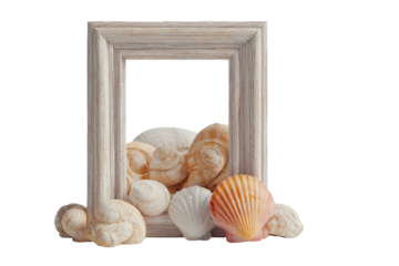 Seashells fill a frame on black