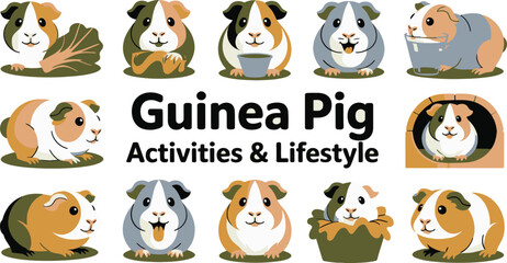 Cute Cartoon Guinea Pig Activities and Lifestyle Illustrated Feeding, Playing, and Resting Poses