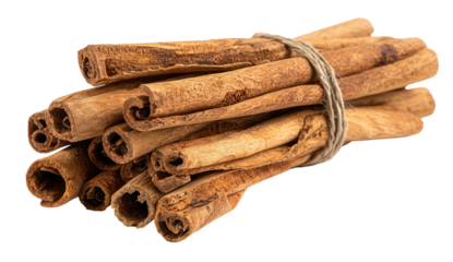 Bundle of aromatic dried cinnamon sticks tied with rough twine