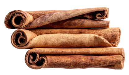 Rolled bark pieces with textured surface stacked diagonally