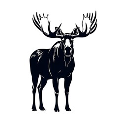 Moose with large antlers isolated on white background