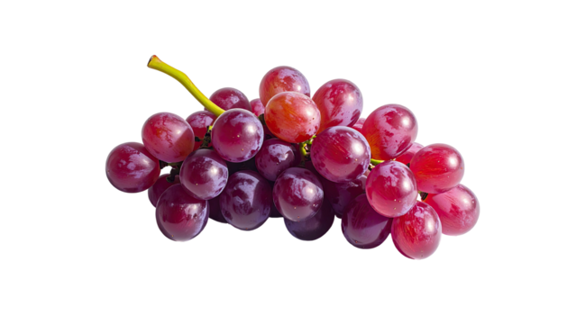 Bunch of red grapes with stem, against dark backdrop