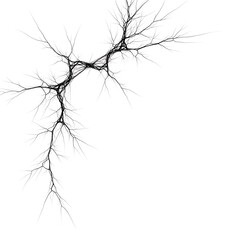Bare tree branches abstract pattern isolated on white background