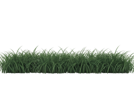 A simple image displaying a strip of green grass against a black background