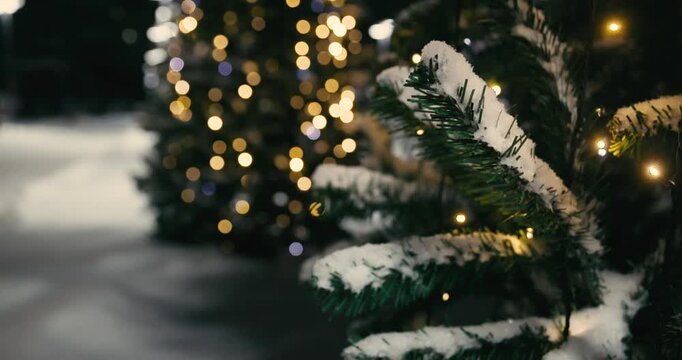 Fairy tale. Spruce twigs dusted with snow close-up. Lights from New Year's garlands twinkle on the background. The concept of a fabulous Christmas atmosphere 2026