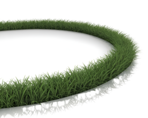 A circular island of lush green grass surrounded by dark void