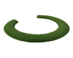 A vibrant green fuzzy torus shape isolated against a black background