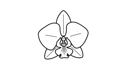 Simple line drawing of a single orchid flower, centered on a white background.