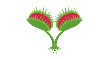 Illustration of a Venus flytrap plant with open traps, showcasing its distinctive green and red structure.
