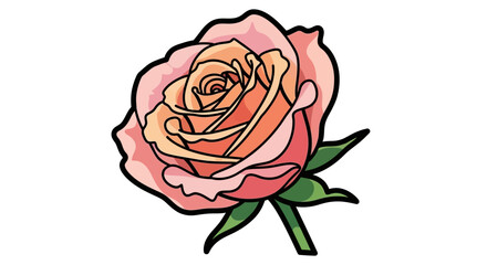 Illustration of a rose with pink and peach petals, depicted in a stylized, cartoon-like manner on a white background.