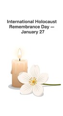 International holocaust remembrance day with candle and flower isolated on white background