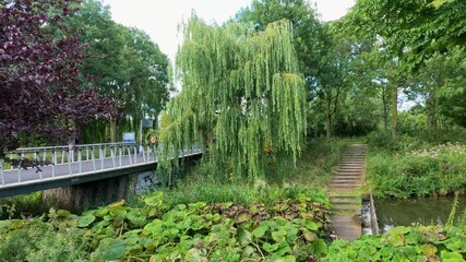 Cyclists Crossing Bridge in Lush Haarlem Park Landscape