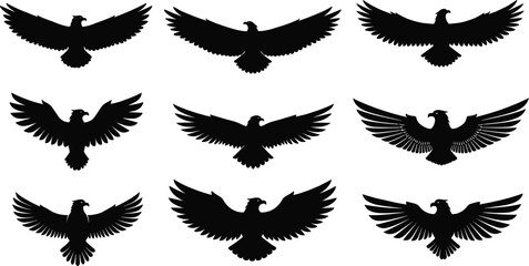 Eagle silhouette collection, flying poses in black, symbolic bird design set, freedom and strength theme, flat vector illustration