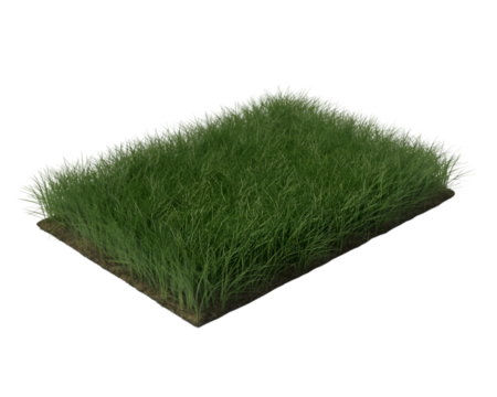 A patch of vibrant green grass isolated on a completely black background