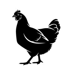 Black silhouette of a chicken isolated on white background