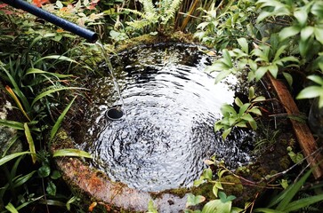山から湧き出る清水