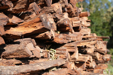 Stack of Firewood Logs – Natural Wooden Texture Background