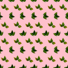 Hand drawn watercolor strawberry leaves on pink background. Berry watercolor illustration. Watercolor berry pattern. Perfect for wallpaper, gift wrap, pattern fill, web page background