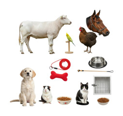 Animal companions and farm friends pets livestock and supplies isolated on transparent background