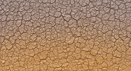 Cracked earth background with a gradient from brown to tan, showing the effects of drought and climate change on the soil texture