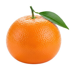 Orange fruit in natural environment isolated on transparent background
