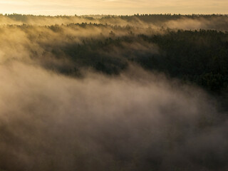Bavarian view across morning sunrise forest with foggy background