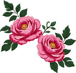 Twin Pink Roses Floral Illustration