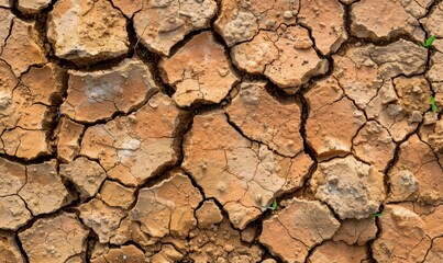 Arid land background with cracked earth texture for desert or drought concept